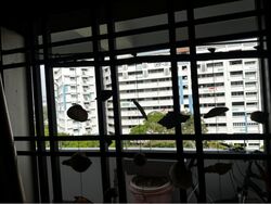 Blk 406 Woodlands Street 41 (Woodlands), HDB 4 Rooms #607793321